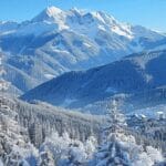 What is SEO in Digital Marketing?