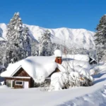 The First Olympic Winner: The Beginning of a Glorious Tradition