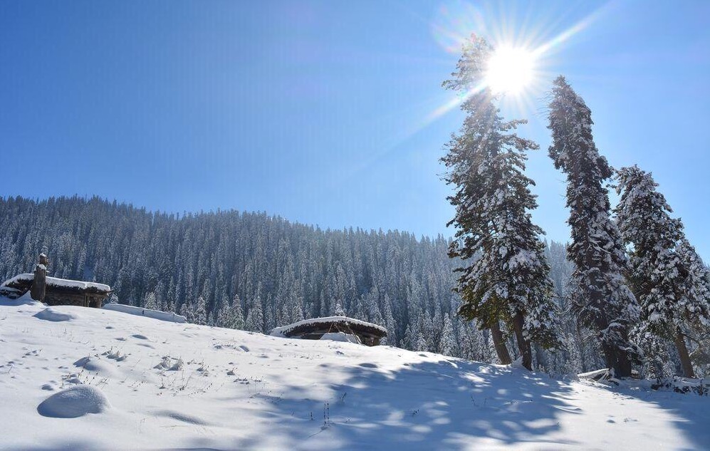 best-time-to-see-snow-in-kashmir