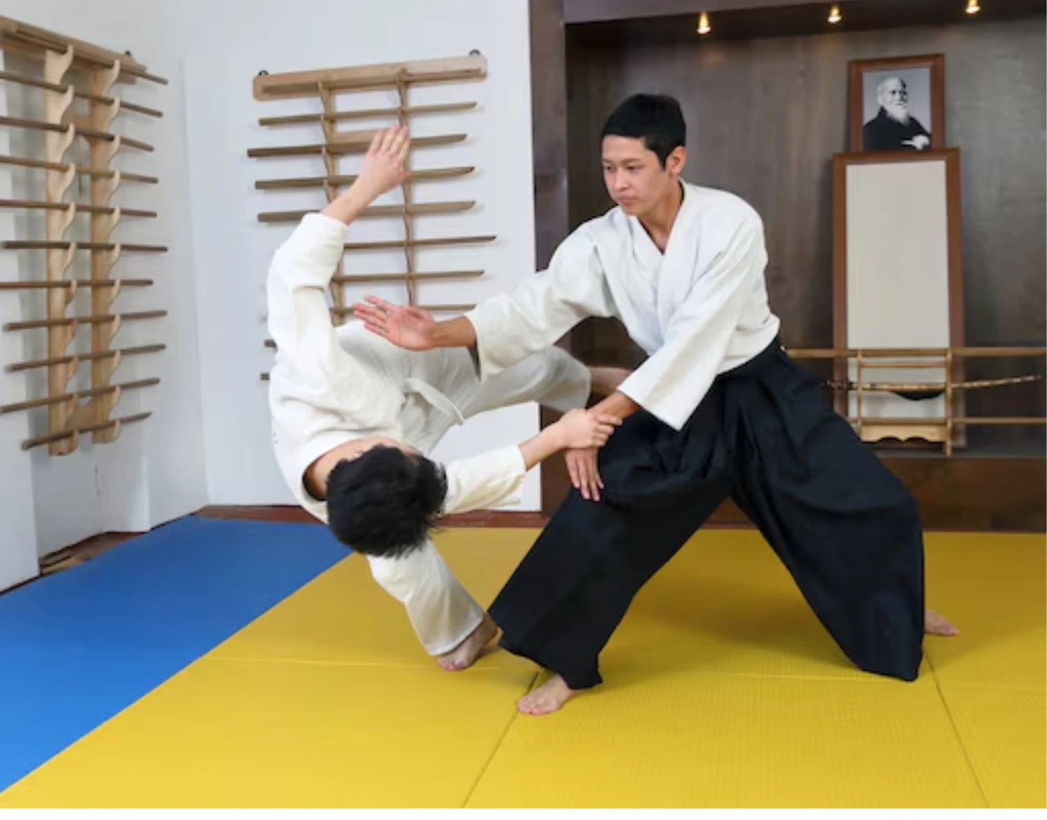 difference-between-judo-and-karate